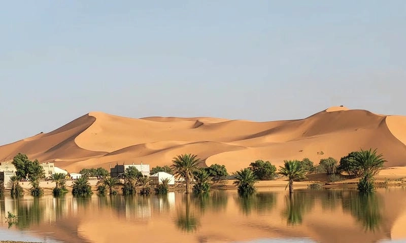 Săn những bức sa mạc Sahara vàng rực