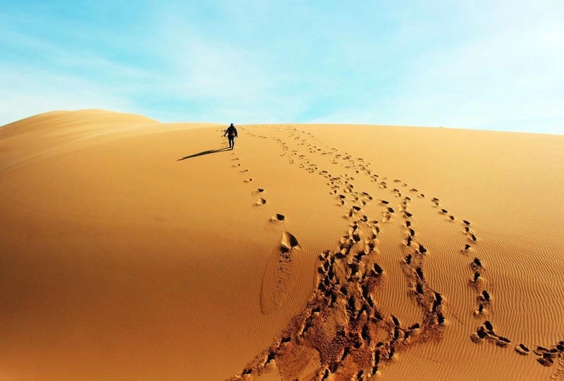 Cười sảng với sa mạc Sahara tuyệt đẹp