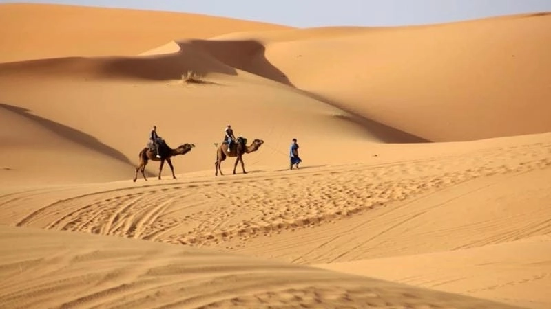 Tìm về sa mạc Sahara nghệ thuật