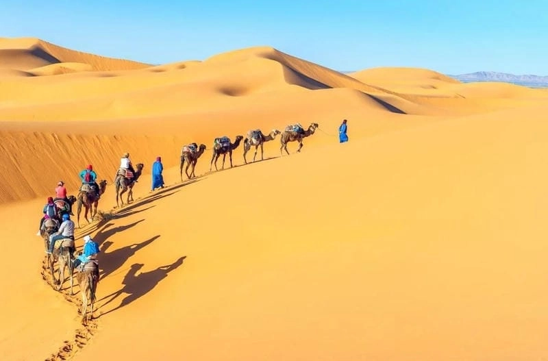 Lạc lối trong sa mạc Sahara thế giới