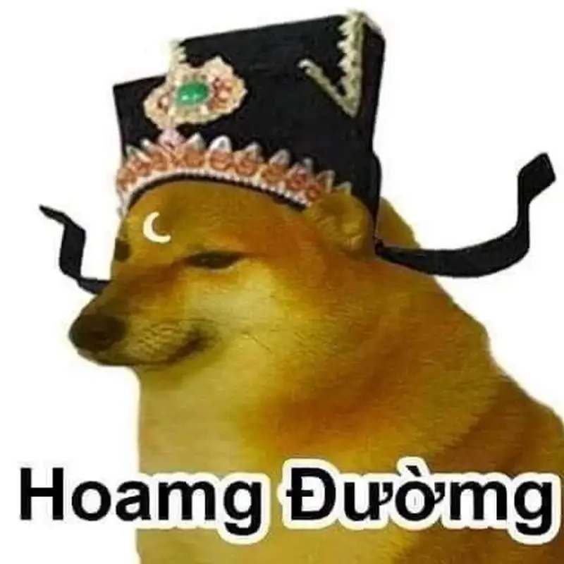 Shiba meme là gì?