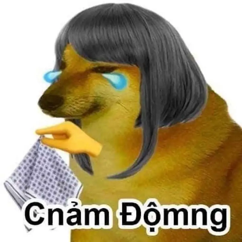 Thay đổi màn hình với hình nền chó shiba meme siêu cute