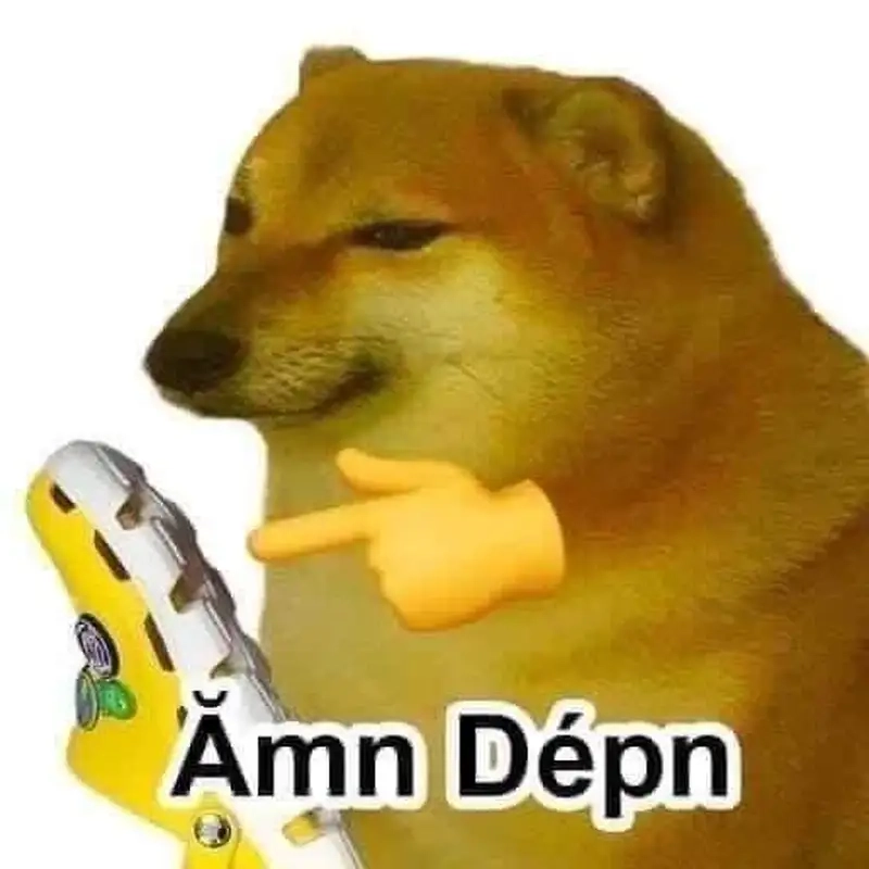 Cùng chơi đùa với con chó shiba meme đáng yêu nhất