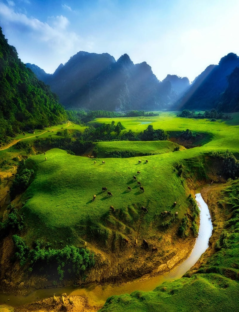 Tải ngay thảo nguyên kỳ thú