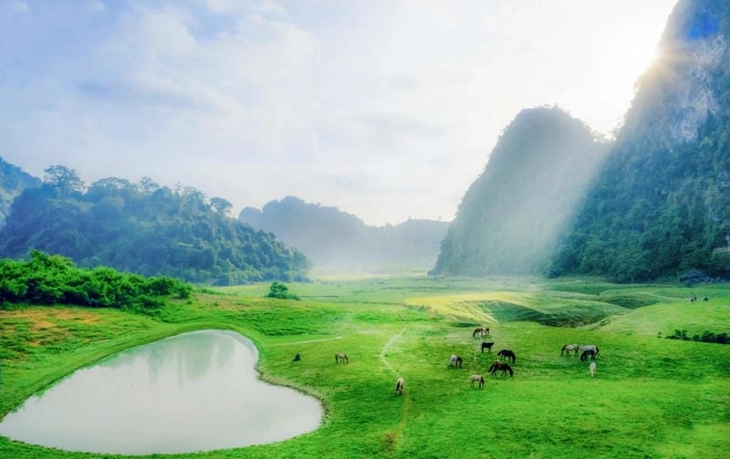 Săn những bức thảo nguyên hùng vĩ