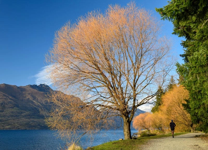 Săn những bức thế giới tự nhiên tráng lệ