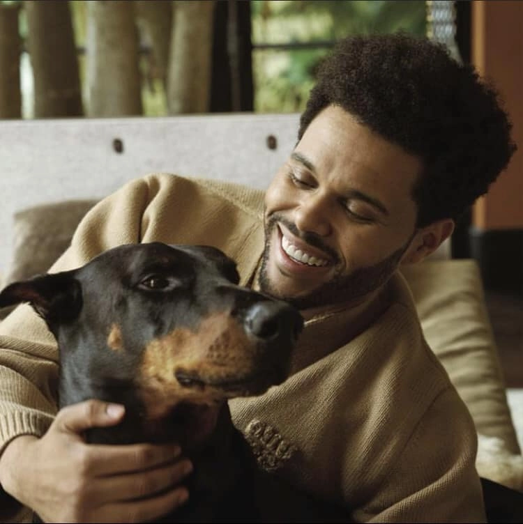 The Weeknd house of balloons và kiệt tác R&B thay đổi cuộc chơi