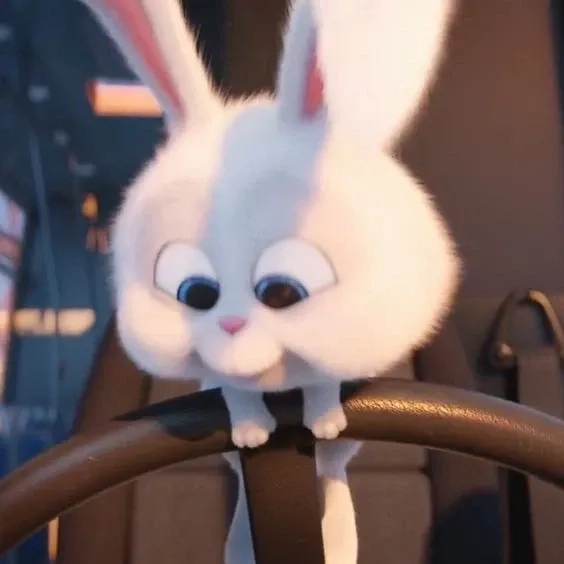 Tải ngay thỏ snowball avatar để làm ảnh đại diện siêu chất