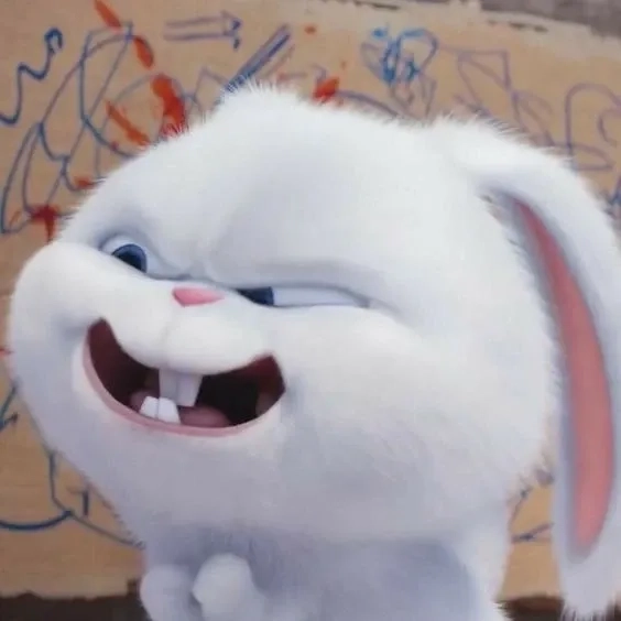 Bộ sưu tập ảnh thỏ snowball đáng yêu khiến ai cũng thích