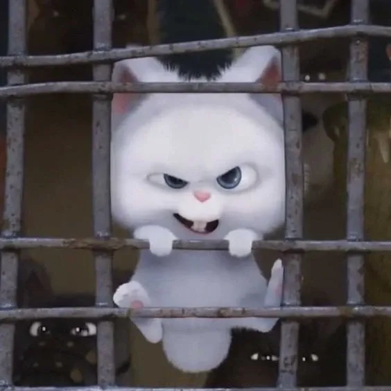 Cập nhật trend rabbit thỏ snowball avatar hot nhất hiện nay