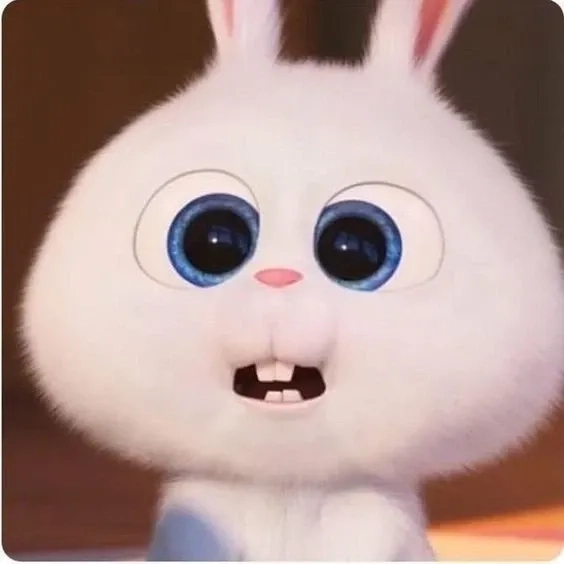 Ngắm nhìn thỏ snowball cute khiến bạn quên hết muộn phiền