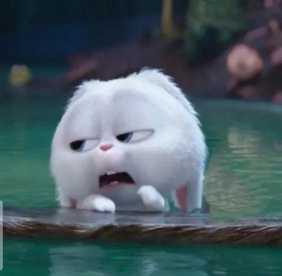 Tổng hợp những meme thỏ snowball hài hước lan truyền cực mạnh