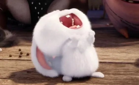 Đổi ảnh đại diện ngay với avatar thỏ snowball đầy cá tính