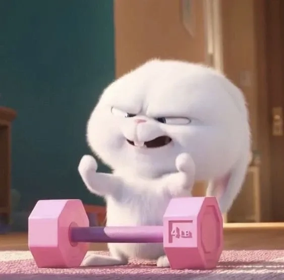 Tải về bộ hình nền thỏ snowball độc lạ cho điện thoại và máy tính