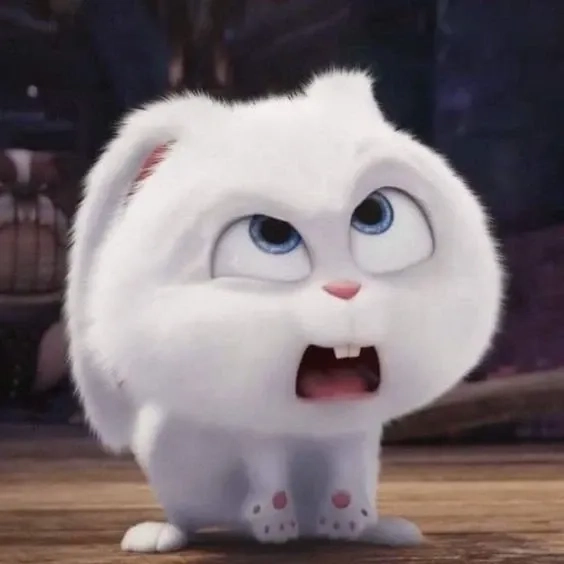 Khám phá hình ảnh thỏ snowball real ngoài đời thực có gì khác