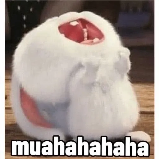 Bộ sưu tập đáng yêu từ gấu thỏ snowball cực hiếm trên mạng
