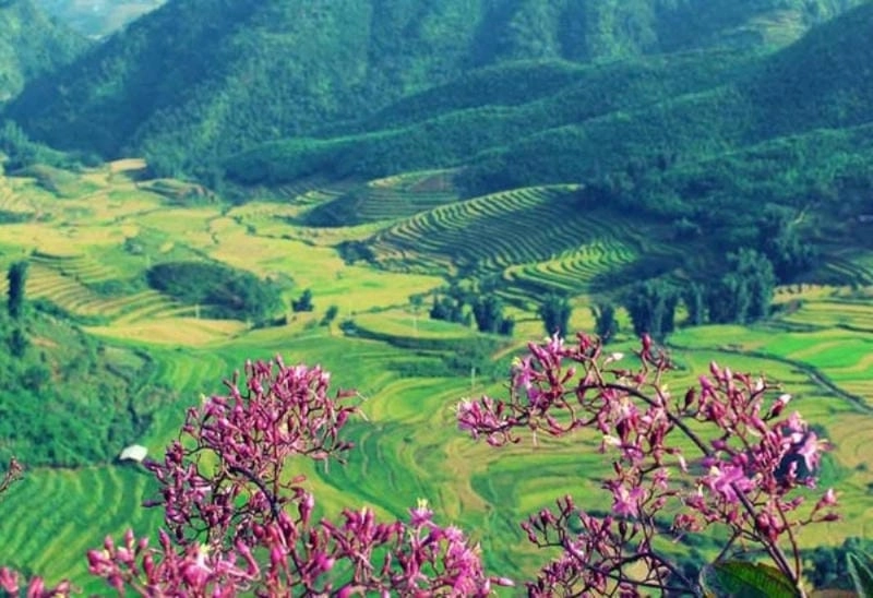 Cùng khám phá thung lũng đẹp nhất