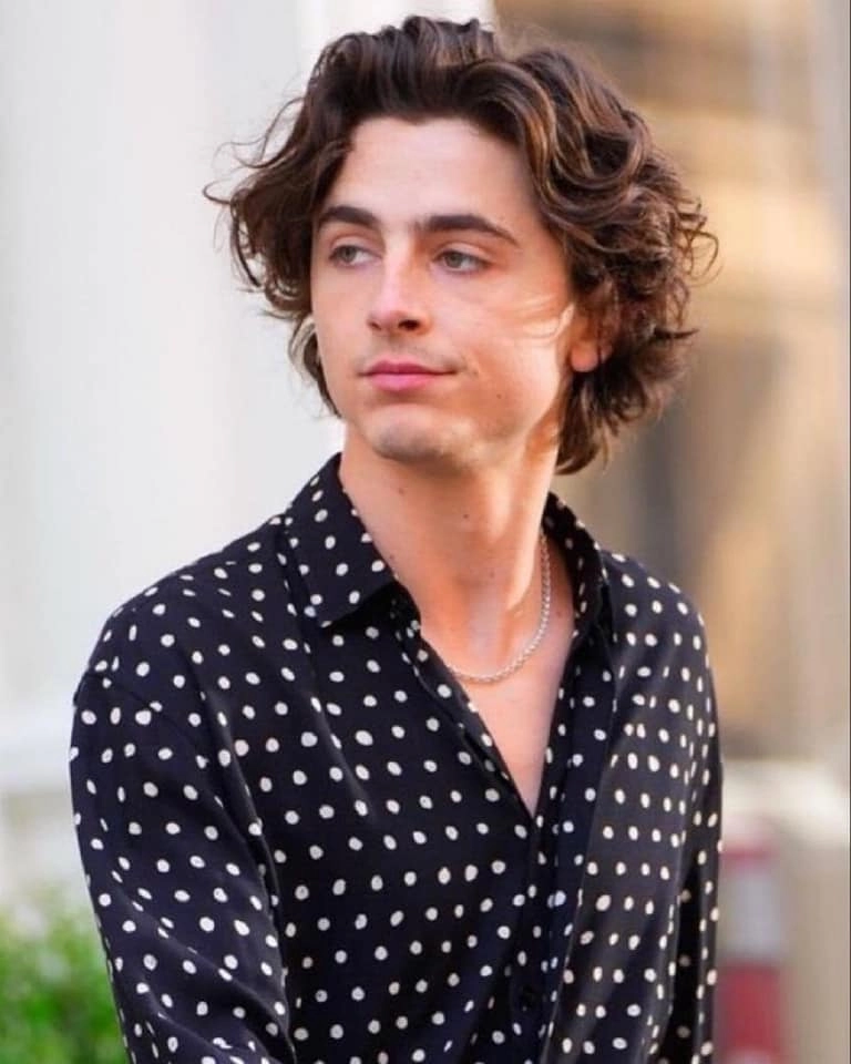 Timothée Chalamet movie và những vai diễn trong Dune, Wonka