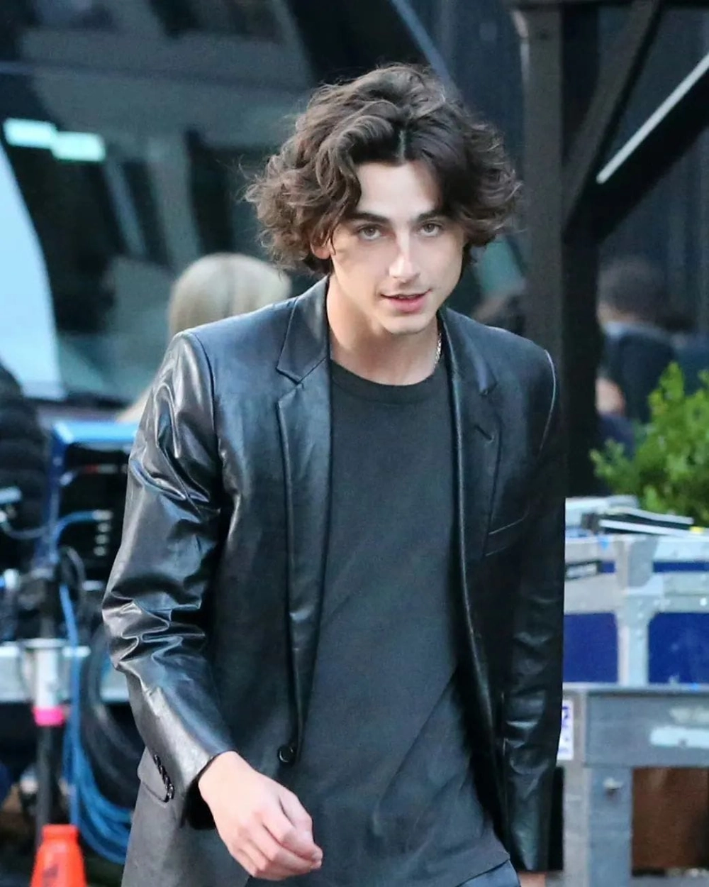 Timothée Chalamet nam thần thế hệ mới và siêu sao hàng đầu Hollywood