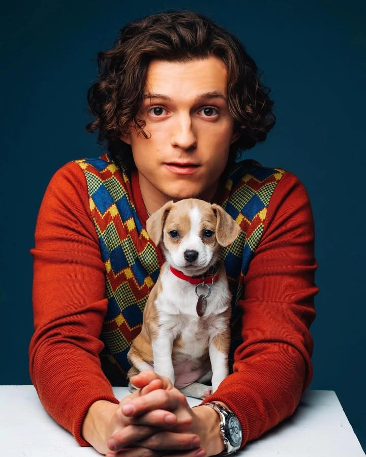 Tom Holland movie và những bộ phim bom tấn anh tham gia
