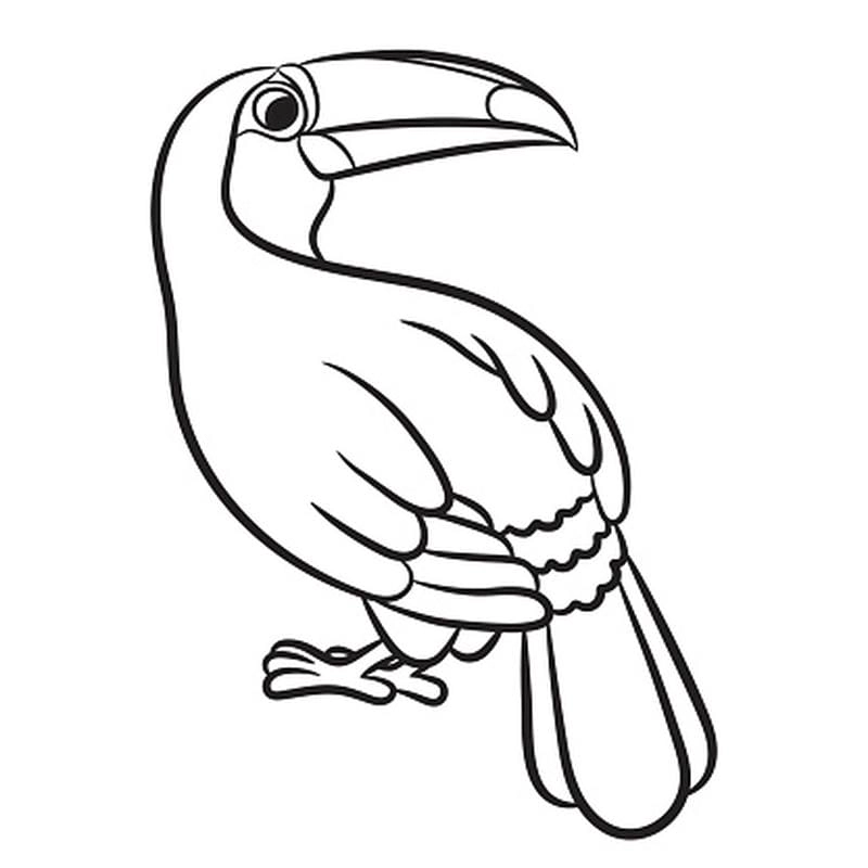 Tranh tô màu chim toucan là như thế nào hấp dẫn trẻ em