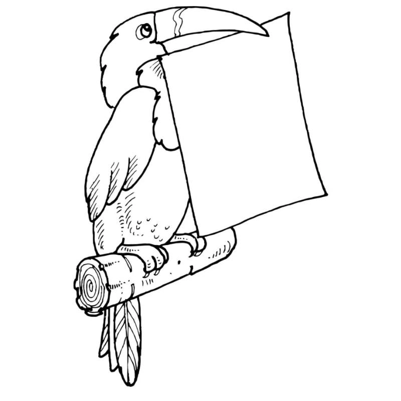 Tận hưởng nghệ thuật với Tranh tô màu chim toucan phong cách doodle sáng tạo
