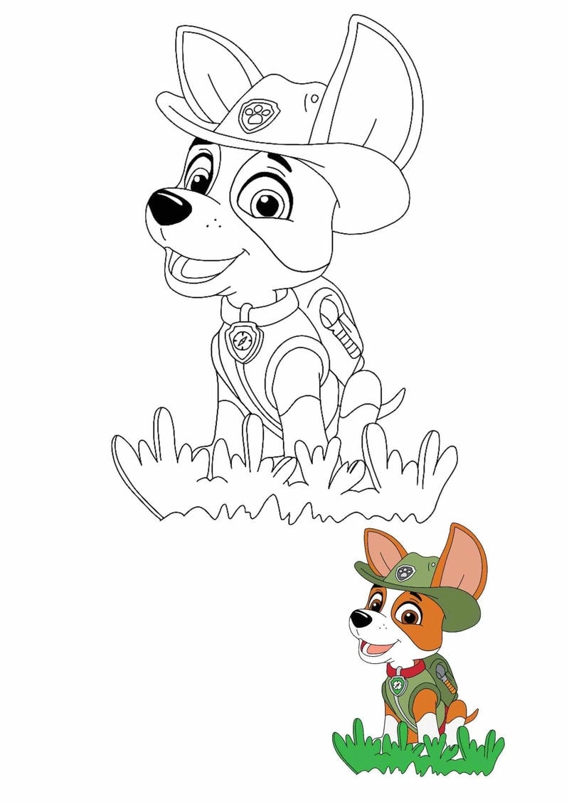 Tận hưởng niềm vui cùng paw patrol tranh tô màu đội chó cứu hộ đầy màu sắc