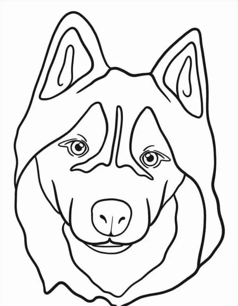 Tận hưởng tranh tô màu chó husky miễn phí dễ tải về