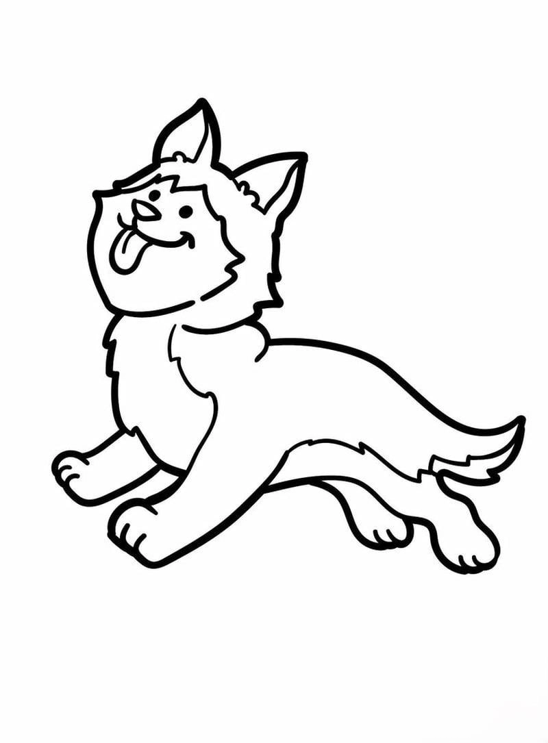 Tranh tô màu chó Husky là như thế nào thú vị và sinh động