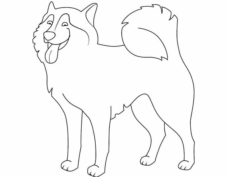 Tải ngay tranh tô màu chó husky dễ in cho bé tô màu