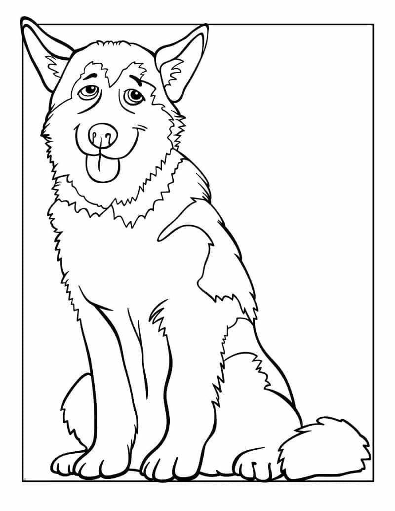 Sưu tầm tranh tô màu chó husky PNG chất lượng cao