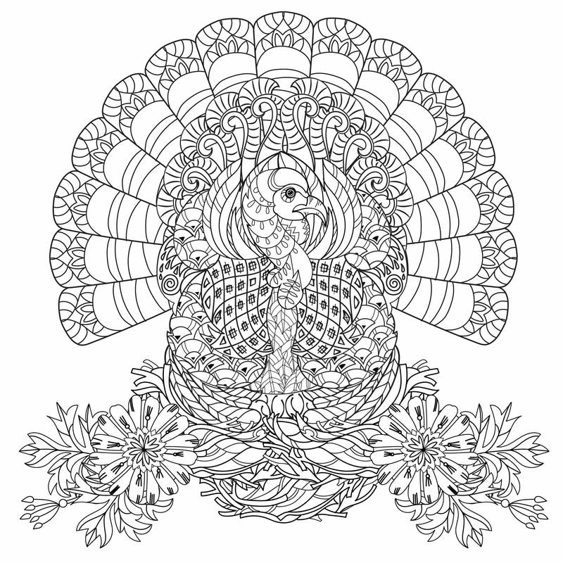 Tranh tô màu con công là như thế nào?