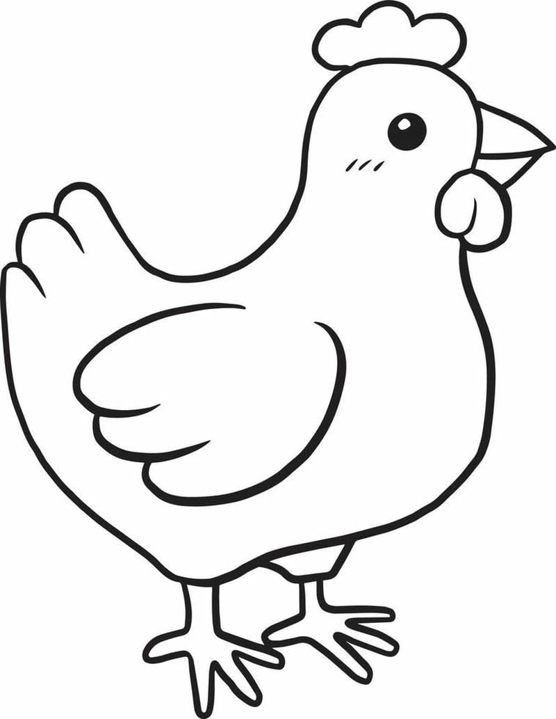 Nhiều mẫu tranh tô màu con gà và hình con gà cho bé tô màu