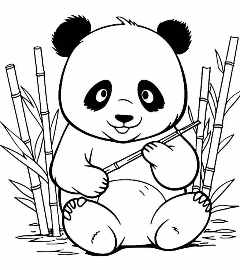 Tranh tô màu con gấu là như thế nào hấp dẫn trẻ em