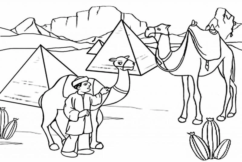 Bé thỏa sức sáng tạo với tranh tô màu con lạc đà cho bé hấp dẫn và vui nhộn