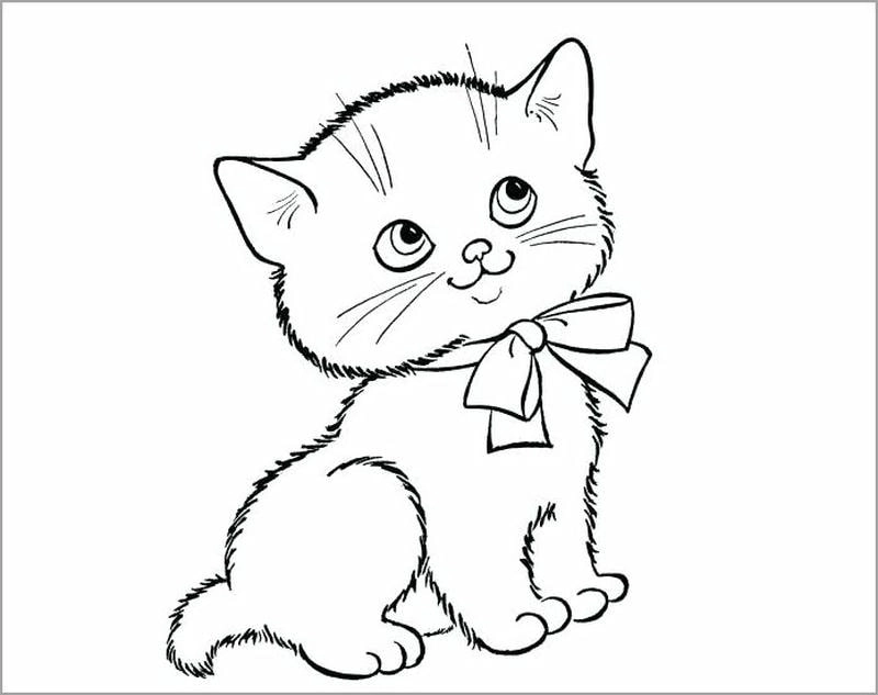 Tuyển chọn tranh tô màu con mèo cực dễ thương từ bộ hình tô màu con mèo cute