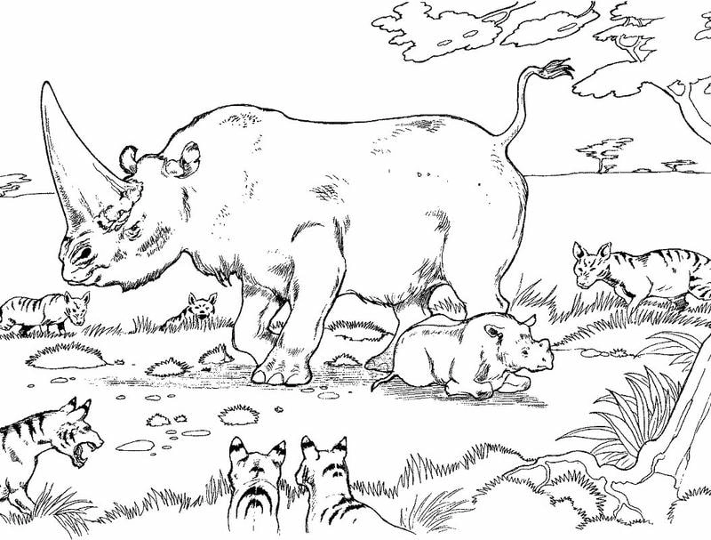 Khám phá thiên nhiên với tranh tô màu động vật hoang dã