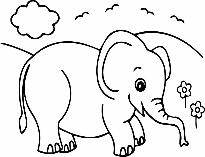 Vui học cùng hình tô màu con vật cho bé 3 tuổi đầy sinh động