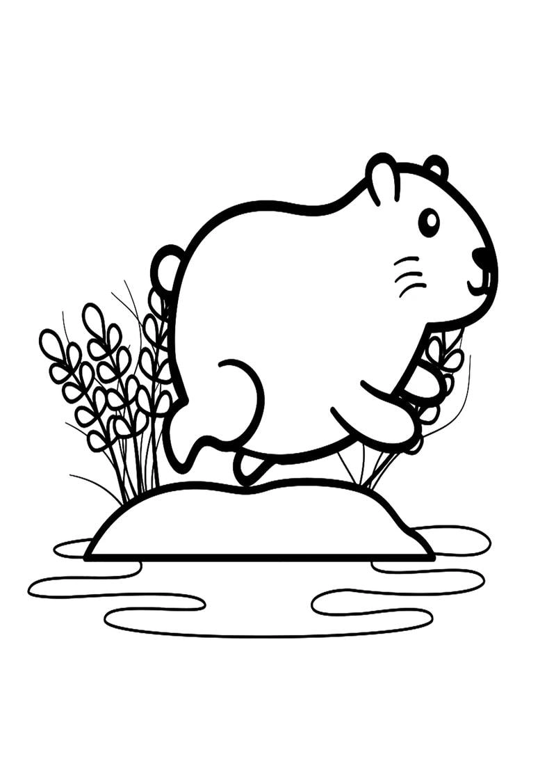 Tranh tô màu động vật chibi là như thế nào?