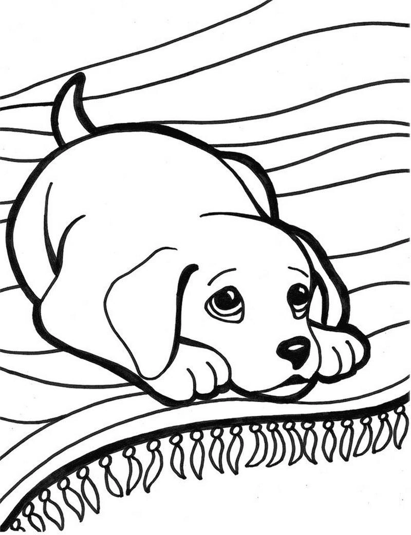 Khám phá tranh tô màu cún con cute vui nhộn