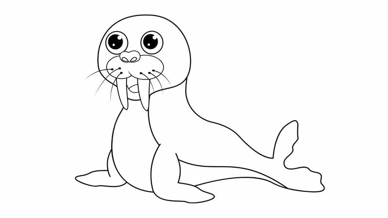 Tranh tô màu động vật cute là như thế nào