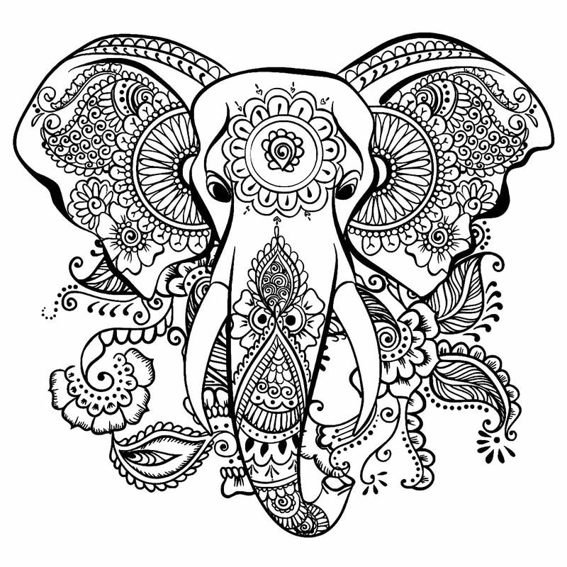 Sáng tạo với Tranh tô màu động vật phong cách mandala tỉ mỉ