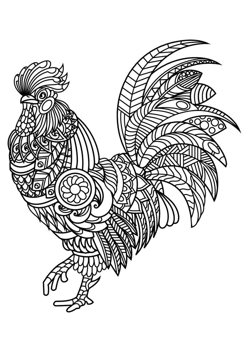 Khám phá hình ảnh con gà trống tô màu đa dạng cho trẻ