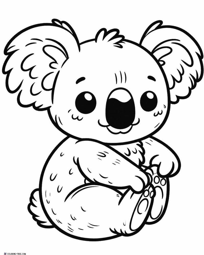 Phát triển kỹ năng bé với tranh tô màu koala cho trẻ mầm non