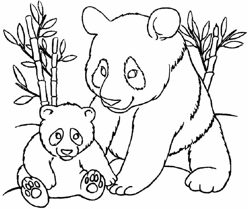 Bé thỏa sức sáng tạo với tranh tô màu con gấu trúc