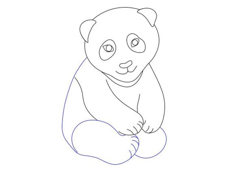Khám phá bộ gấu trúc tô màu siêu dễ thương