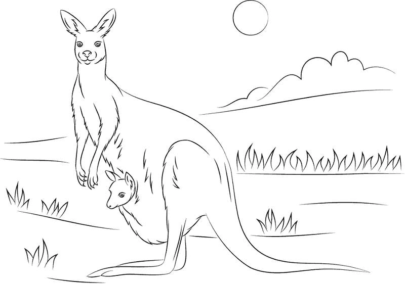 Bé sẽ yêu thích tranh tô màu kangaroo đáng yêu và vui nhộn