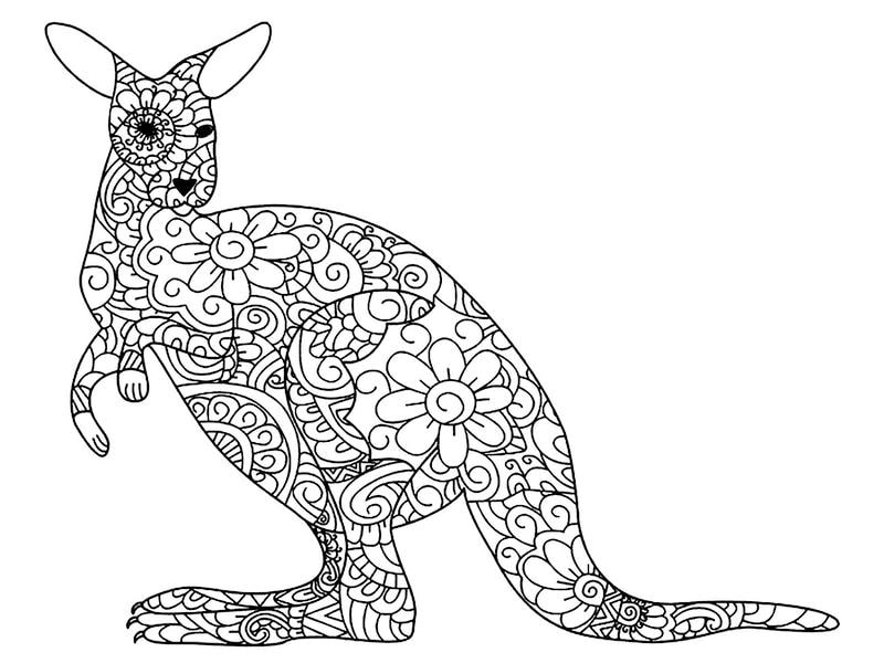 Tìm trang tô màu kangaroo cho bé giúp bé phát triển tư duy