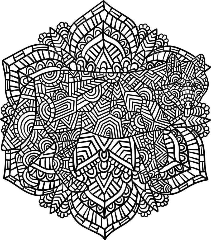 Bé học phối màu nhanh với tranh tô màu mandala động vật đơn giản dễ tô