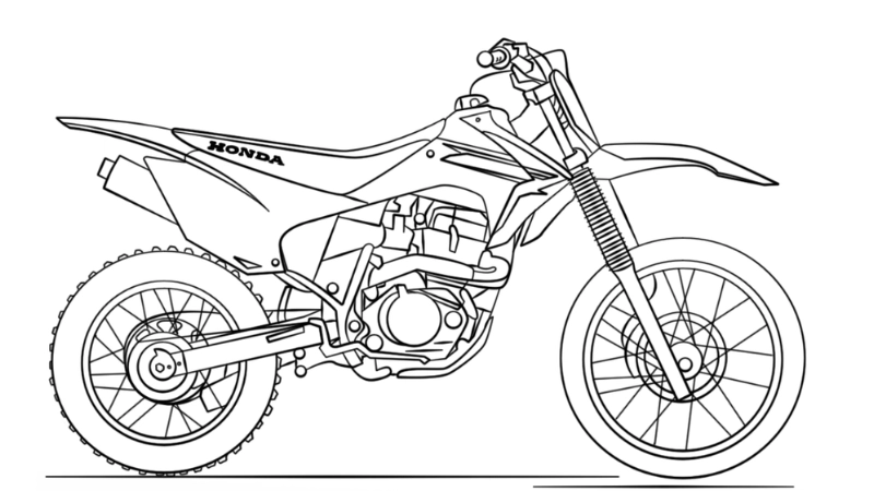 Thử sức phiêu lưu với tô màu xe cào cào off-road